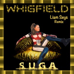 Suga (Liam Seys Remix)