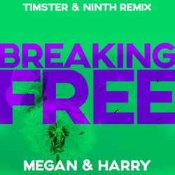 Breaking Free (Timster & Ninth Remix)