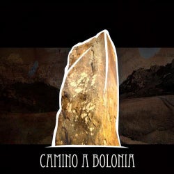 Camino A Bolonia