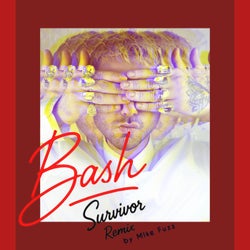 Bash (Remix version)