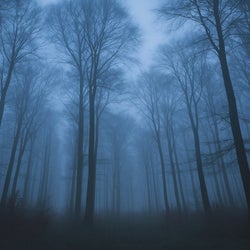 Echoes of the hollow sky