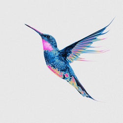 Hummingbird (feat. Katrina Anastasia)