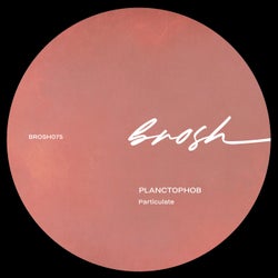 Particulate