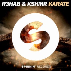 Karate Chart -  R3hab & KSHMR
