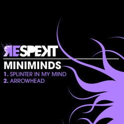 Splinter In Your Mind EP
