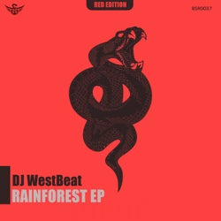 Rainforest