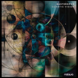Quantic Vision