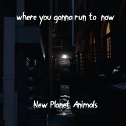 Where You Gonna Run to Now
