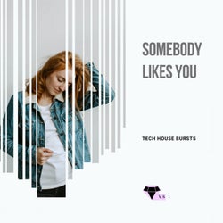 Somebody Likes You - Tech House Bursts