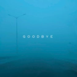 Goodbye.