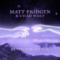 Never Forget You