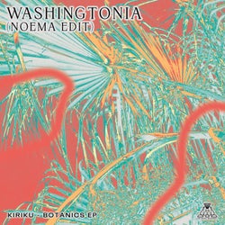Washingtonia (Noema Edit)