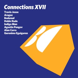 Connections, Vol. XVII