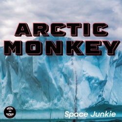Arctic Monkey