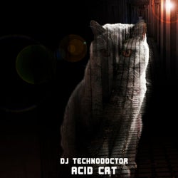 Acid Cat