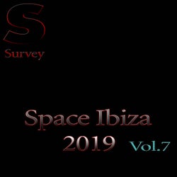 Space Ibiza 2019, Vol.7