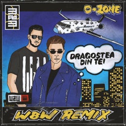 Dragostea Din Tei (W&W Extended Mix)