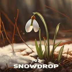 Snowdrop (Ambient Remix)
