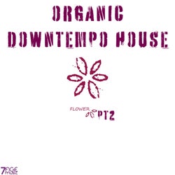 Organic Downtempo Flower House, Pt. 2