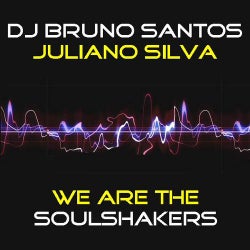 We Are The Soul Shakers
