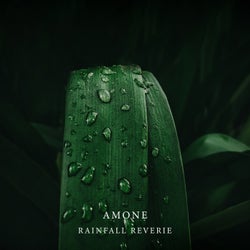 Rainfall Reverie