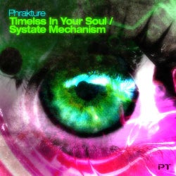 Systate Mechanism / Timeless In Your Soul