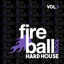 Fireball Recordings: 100%% Hard House, Vol. 1