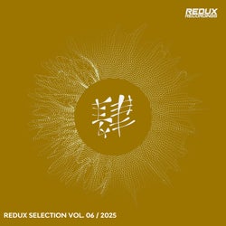 Redux Selection, Vol. 6 / 2025