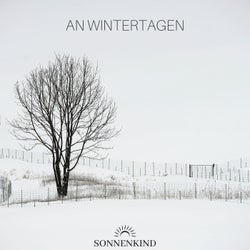 An Wintertagen