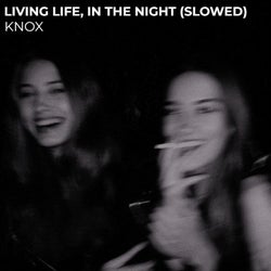 Living Life, in the Night (Slowed)