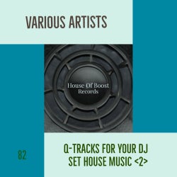 Q-TRACKS FOR YOUR DJ SET HOUSE MUSIC 2