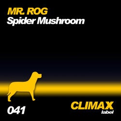 Spider Mushroom