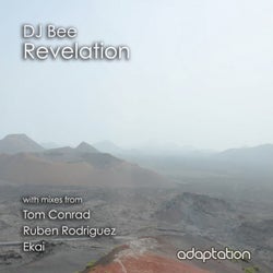 Revelation (Remixes)