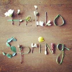 Hello Spring Chart