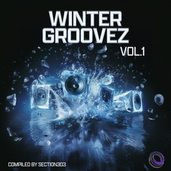 Winter Groovez, Vol.1 (Compiled by Section303)