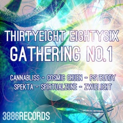 Thirtyeight Eightysix Gathering No.1