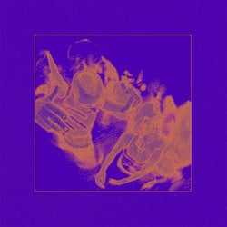 Who Says Night's For Sleeping?