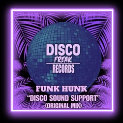 Disco Sound Support (Original mix)