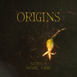 Origins