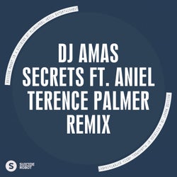 Secrets feat Aniel (Terence Palmer Remix)