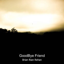 Goodbye Friend