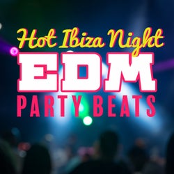 Hot Ibiza Night: EDM Party Beats