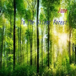 In The Silent Forest