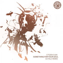 Something For Your Soul (DJ Falk Remix)