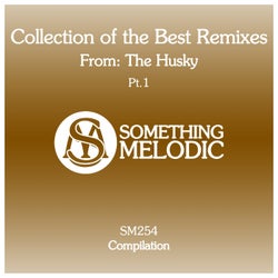 Collection of the Best Remixes From: The Husky, Pt. 1