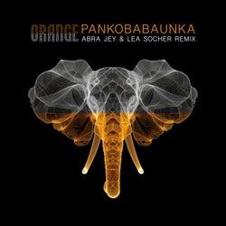 Pankobabaunka (Abra Jey & Lea Socher Remix)