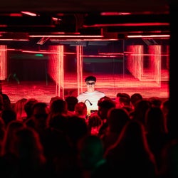 PACHA is the new hype