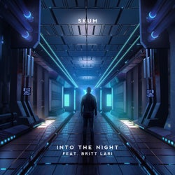 Into The Night (feat. Britt Lari)