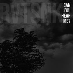 Can You Hear Me?