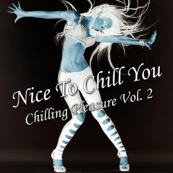 Nice To Chill You Vol. 2